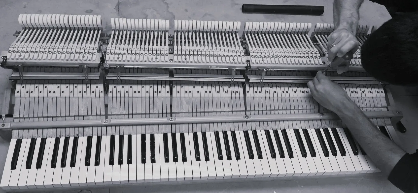 Imagen de Experiencia Profesional en el cuidado del Piano