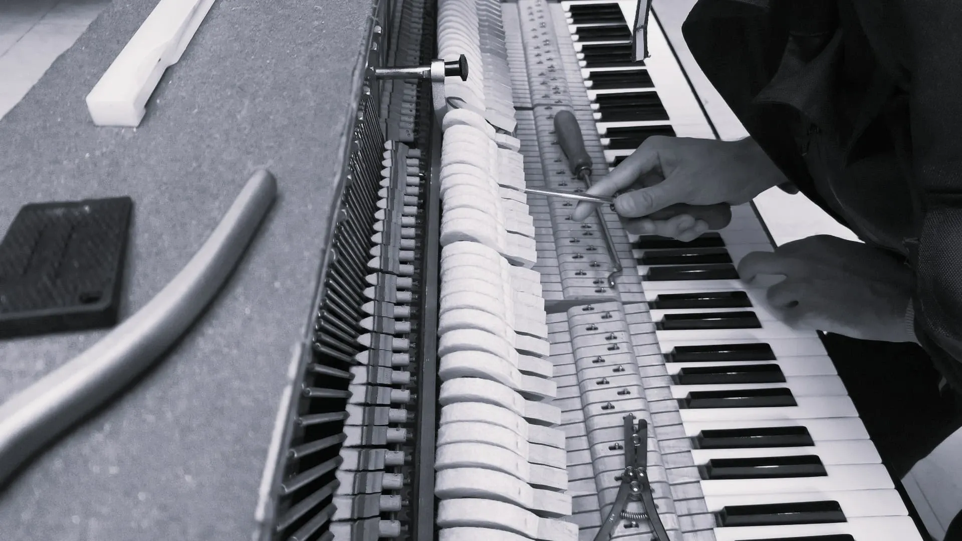 Imagen de Compromiso con la perfección y la música